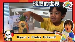 Ryan's Fishy Friend
