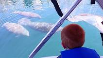 River Cruise With Manatee Viewing