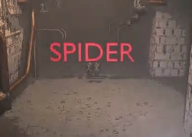 为了防止蜘蛛恐惧症，他们把蜘蛛变成了单词
